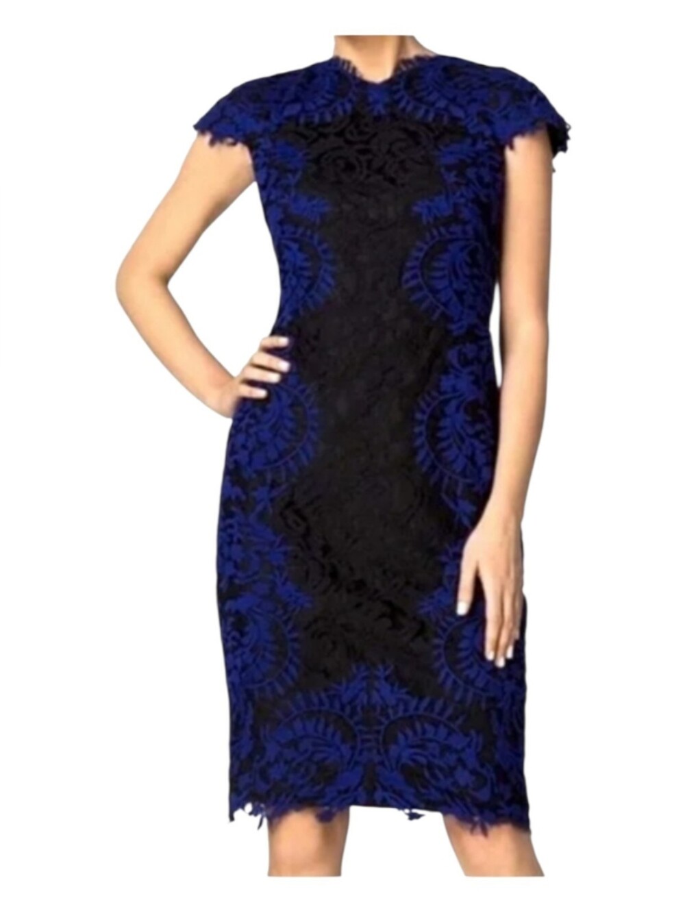 Tadashi Shoji Black & Blue Floral Lace Inlay Midi Dress Size 10 Formal Romantic